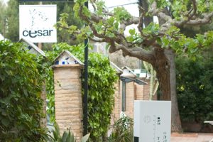 Hotel Cesar